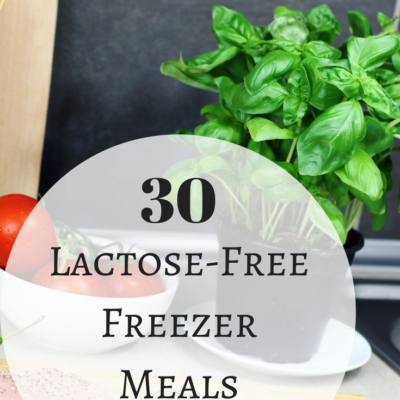 lactose-free freezer meals