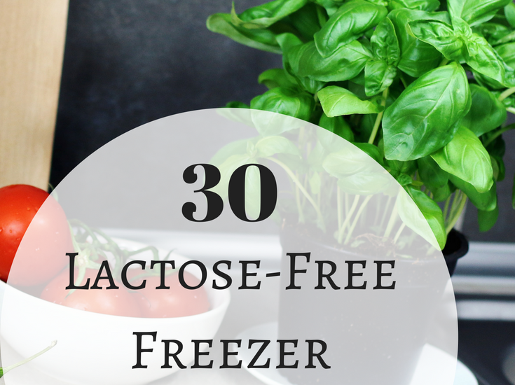 lactose-free freezer meals