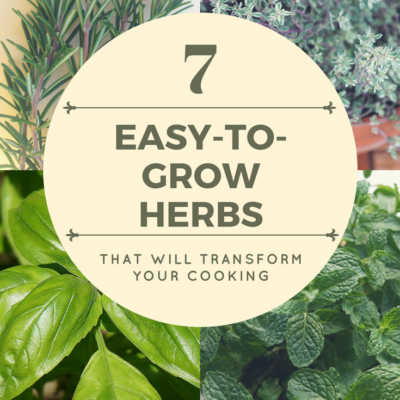 7 Easy-to-Grow Herbs that Will Transform Your Cooking