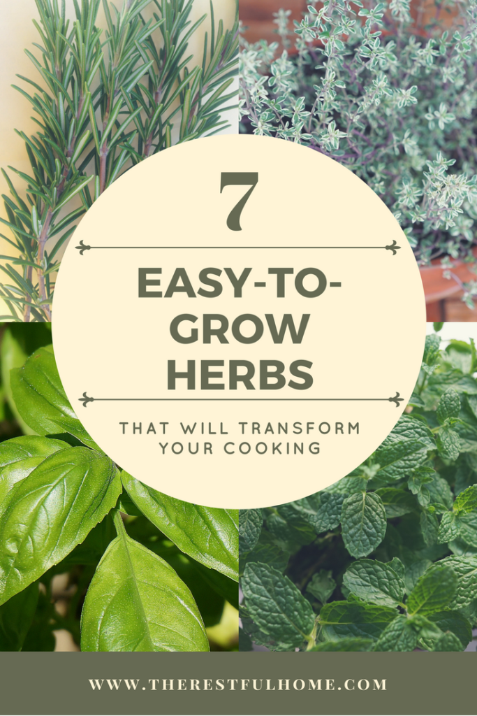 7 EasytoGrow Herbs that Will Transform Your Cooking The Restful Home