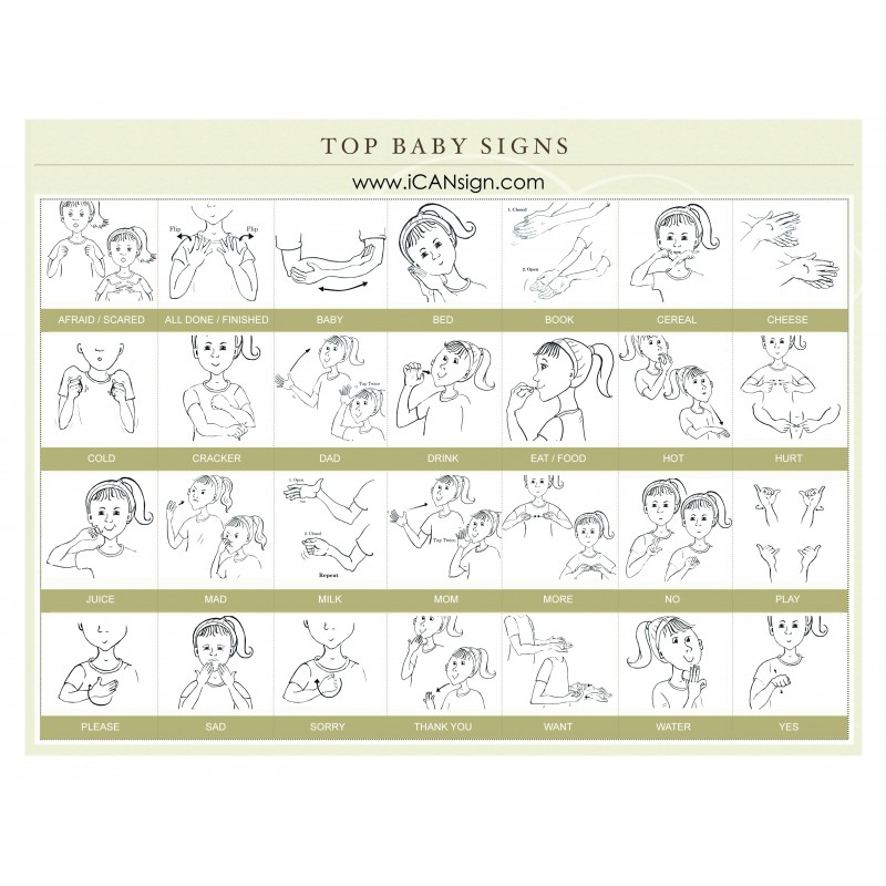 sign language words for babies
