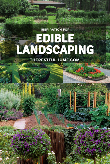 inspiration for edible landscape