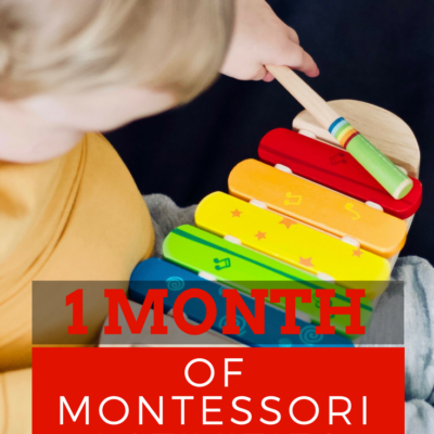 One Month of Montessori Activities for Your Toddler