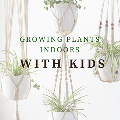 Growing Plants Indoors With Kids