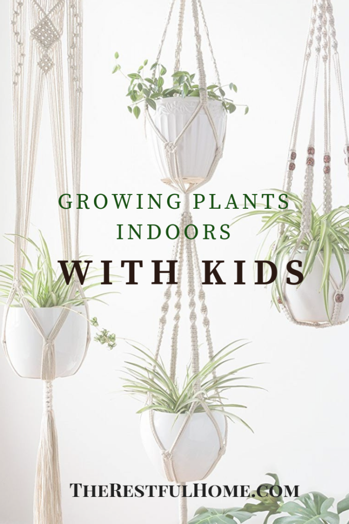 growing plants indoors with kids graphic