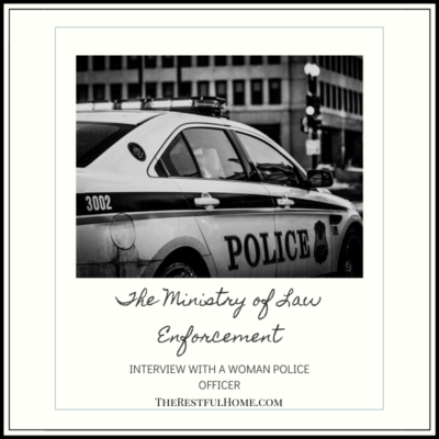 The Ministry of Law Enforcement: Interview