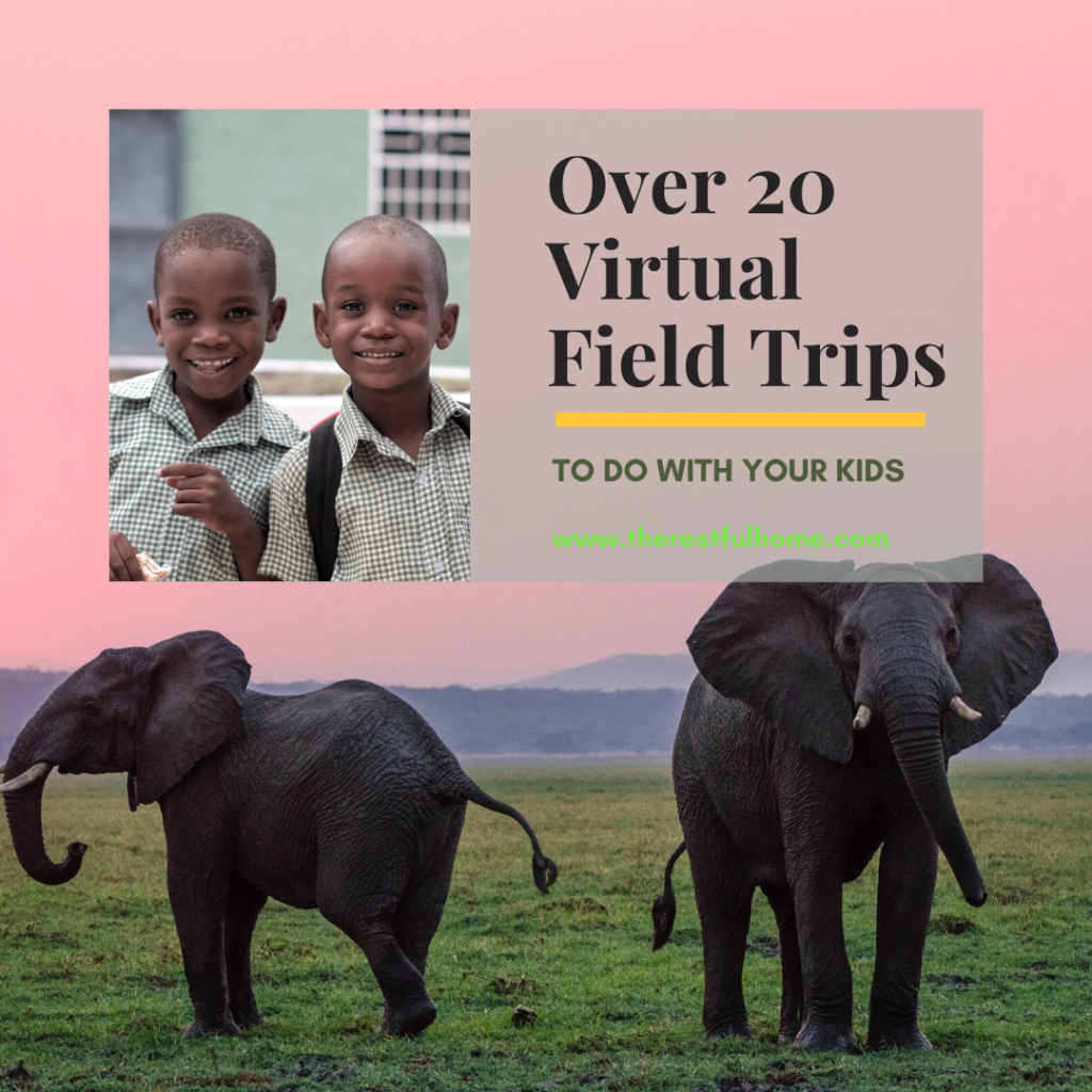 virtual field trips to do with your kids