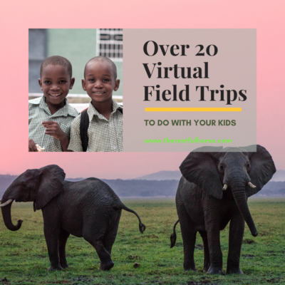 Over 20 Virtual Field Trips to Do With Your Kids
