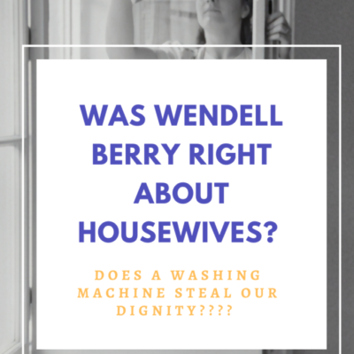 Was Wendell Berry Right About Housewives?