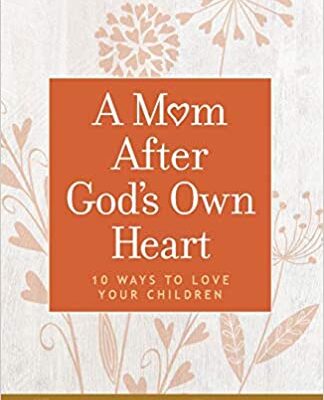 review of mom after God's own heart